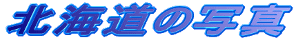 y̎ʐ^ 