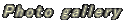 ʐ^CɂЉ܂B