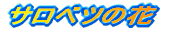 y̎ʐ^ 